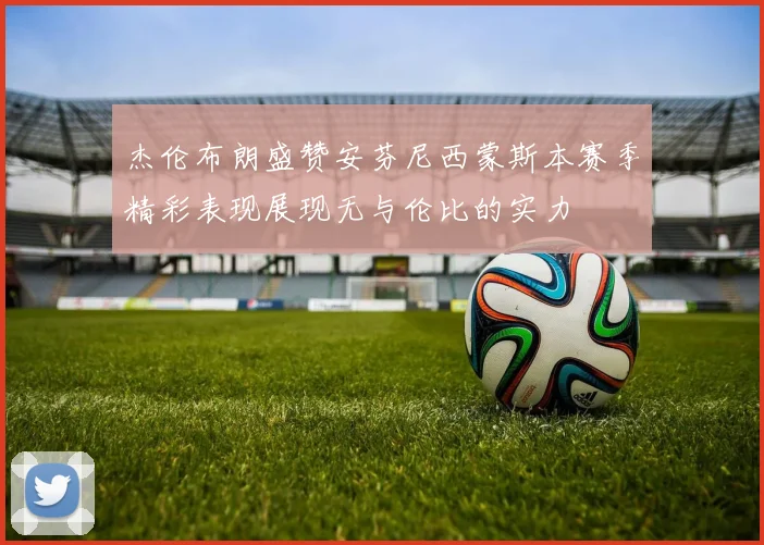 杰伦布朗盛赞安芬尼西蒙斯本赛季精彩表现展现无与伦比的实力